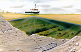 Sonar Image